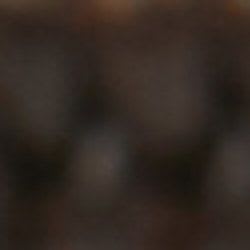 Marrone