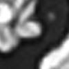 Argento