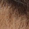 Var beige