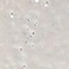 Argento