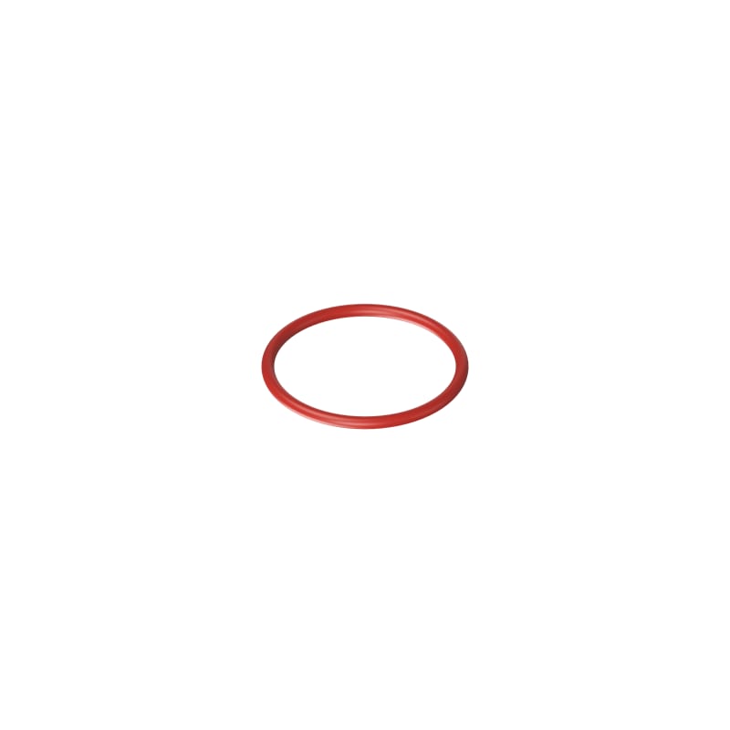 O-RING SILICONE PG21