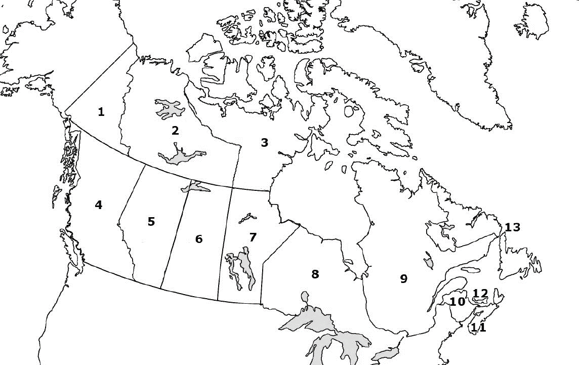 Gimkit live learning game show