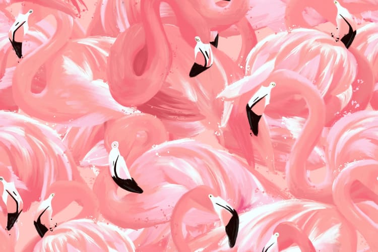 Pink Flamingo Pattern Wallpaper Mural - Hovia