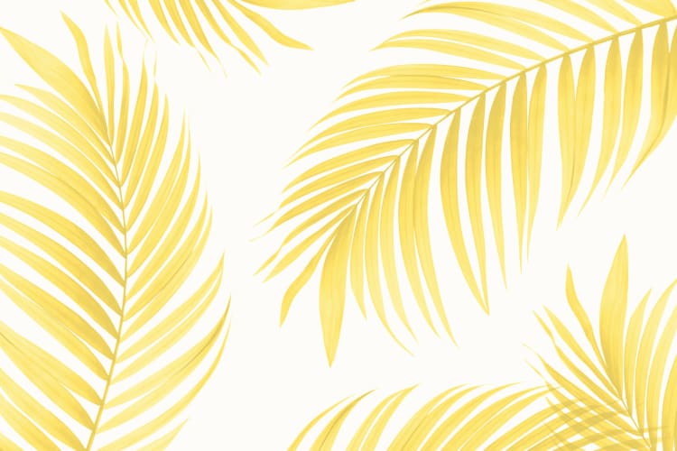 Yellow Tropical Palm Wallpaper Mural - Hovia