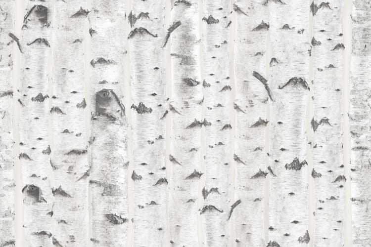 Birch Pattern Birch Pattern