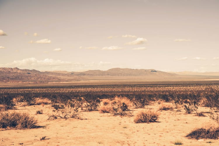 Arid Desert Wallpaper Mural - Hovia