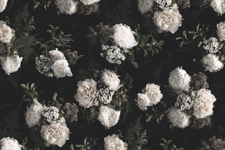 Black & White Dark Moody Floral Wallpaper Mural - Hovia