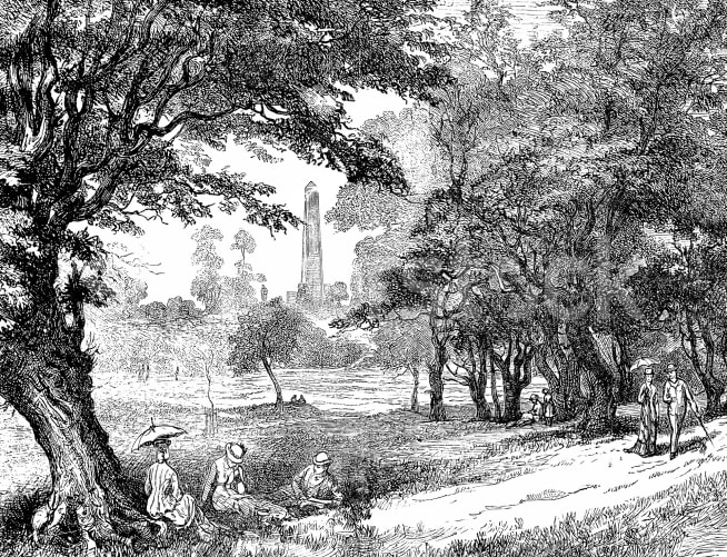 A Walk in the Park