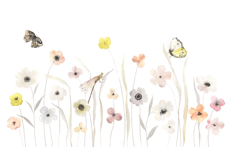 Flowers & Butterflies