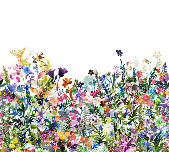 En blommande sommaräng målad i akvarell