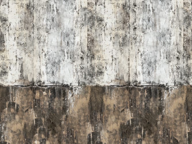 Roughness from a New York building as a wall mural for your home