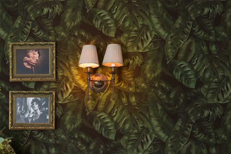 À la découverte de la forêt tropicale