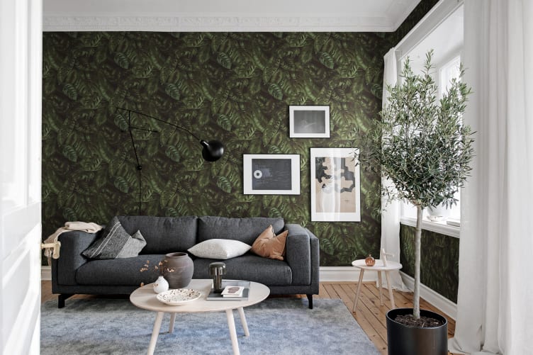 À la découverte de la forêt tropicale