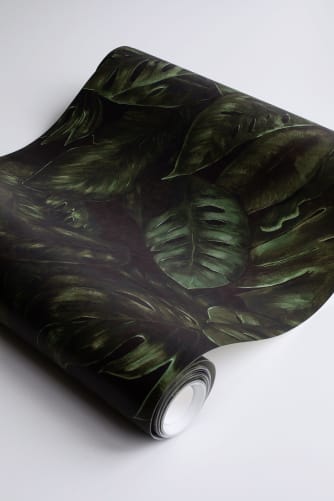 À la découverte de la forêt tropicale