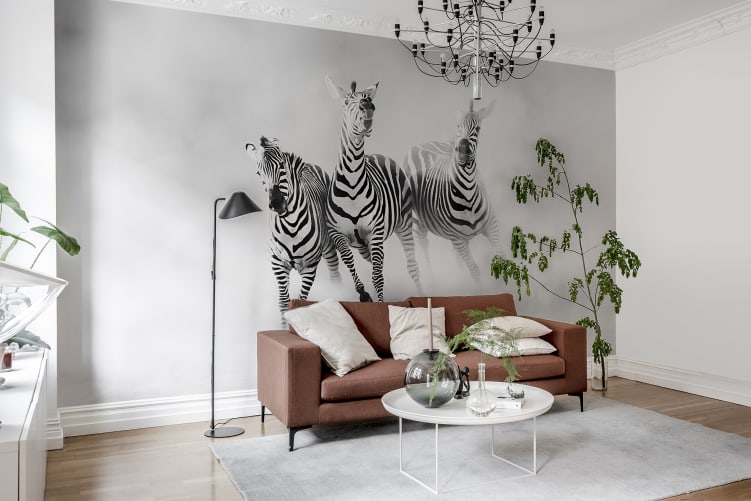 Graphic Zebras