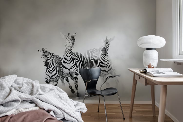 Graphic Zebras