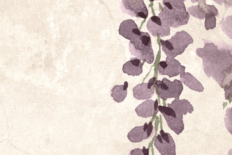 Wisteria Wonder