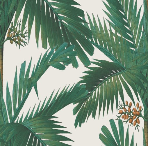 palm print wallpaper