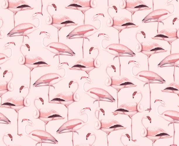 flamingo club wallpaper