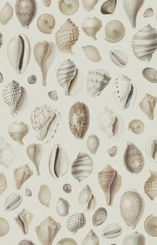 shell wallpaper for walls