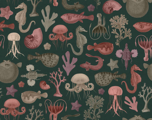 sea creatures wallpaper uk