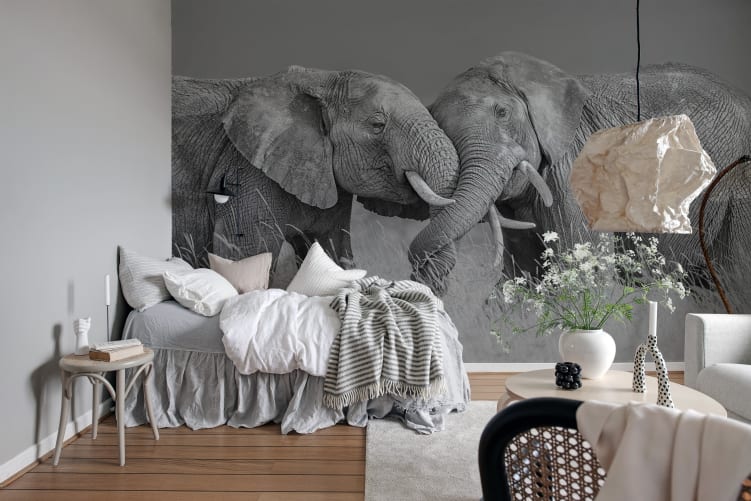 elephants wallpaper wall