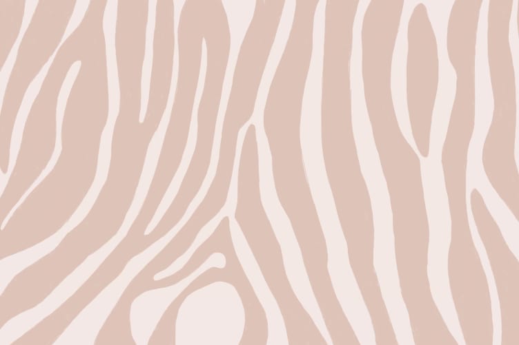 zebra wallpaper pink
