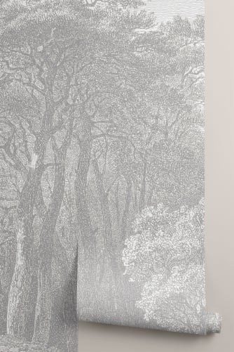 silver trees wallpaper