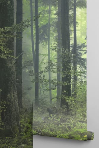 forest wallpaper roll