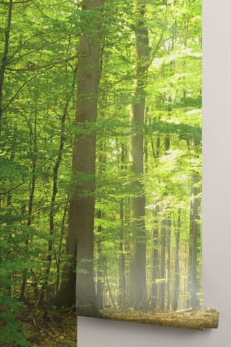 forest wallpaper roll