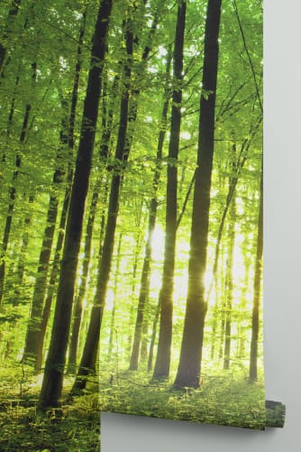 forest wallpaper roll