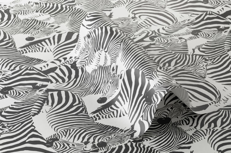 black and white zebra wallpaper