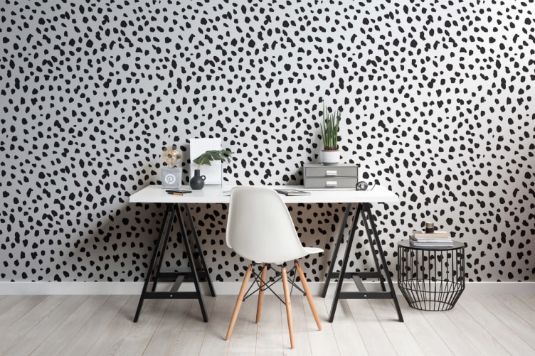 dalmatian wallpaper homebase