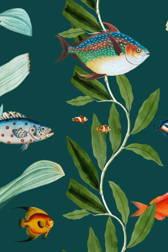 Coral Aquarium Backgrounds Images - Free Download on Freepik