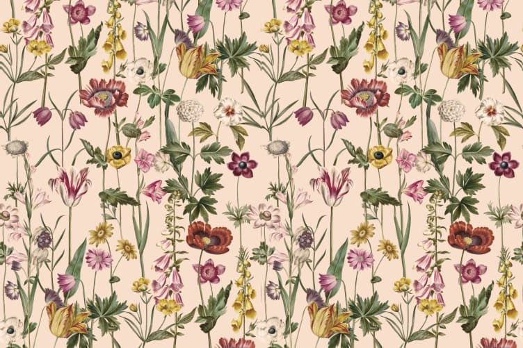 luisa wildflower wallpaper