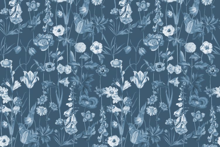 luisa wildflower wallpaper