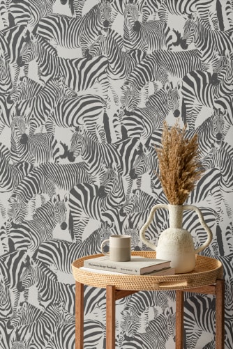 zebra images wallpapers