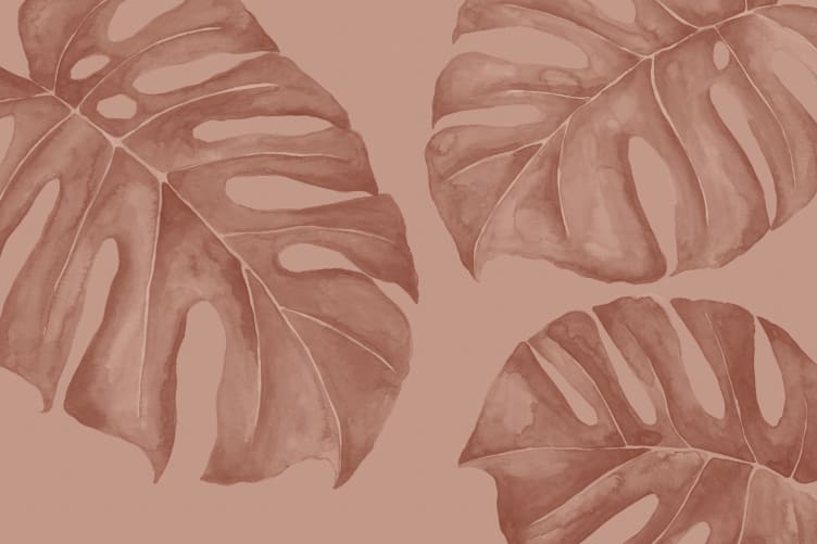 pale terracotta wallpaper