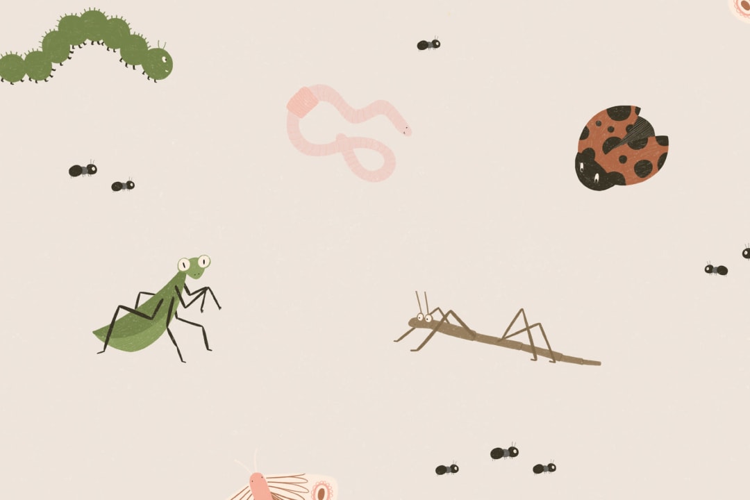 Kids Cute Bugs and Insects Repeat Pattern Wallpaper