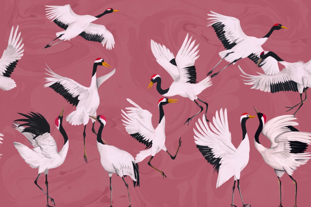 Flying Japanese Cranes Pink Painted Wallpaper Mural