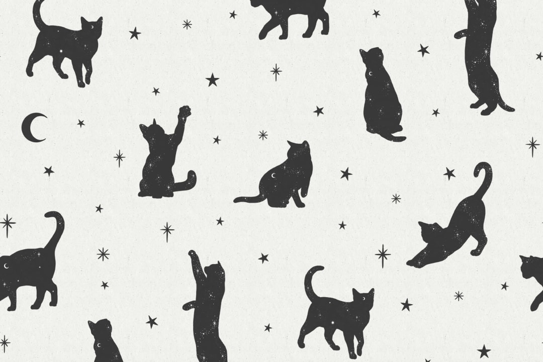 Mural Papel Pintado Blanco y Negros con Motivo de Gatos y Estrellas