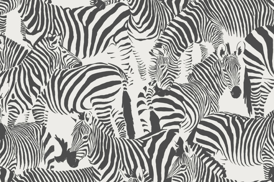 Black and White Zebra Animal Modern Repeat Pattern Wallpaper
