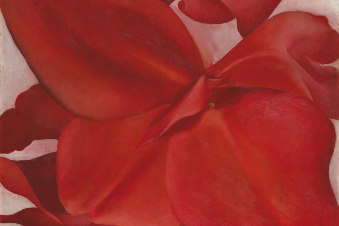 Georgia O Keeffe Red Cannas Fototapet