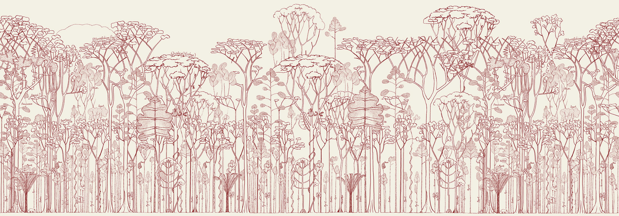 Nature's Sketch