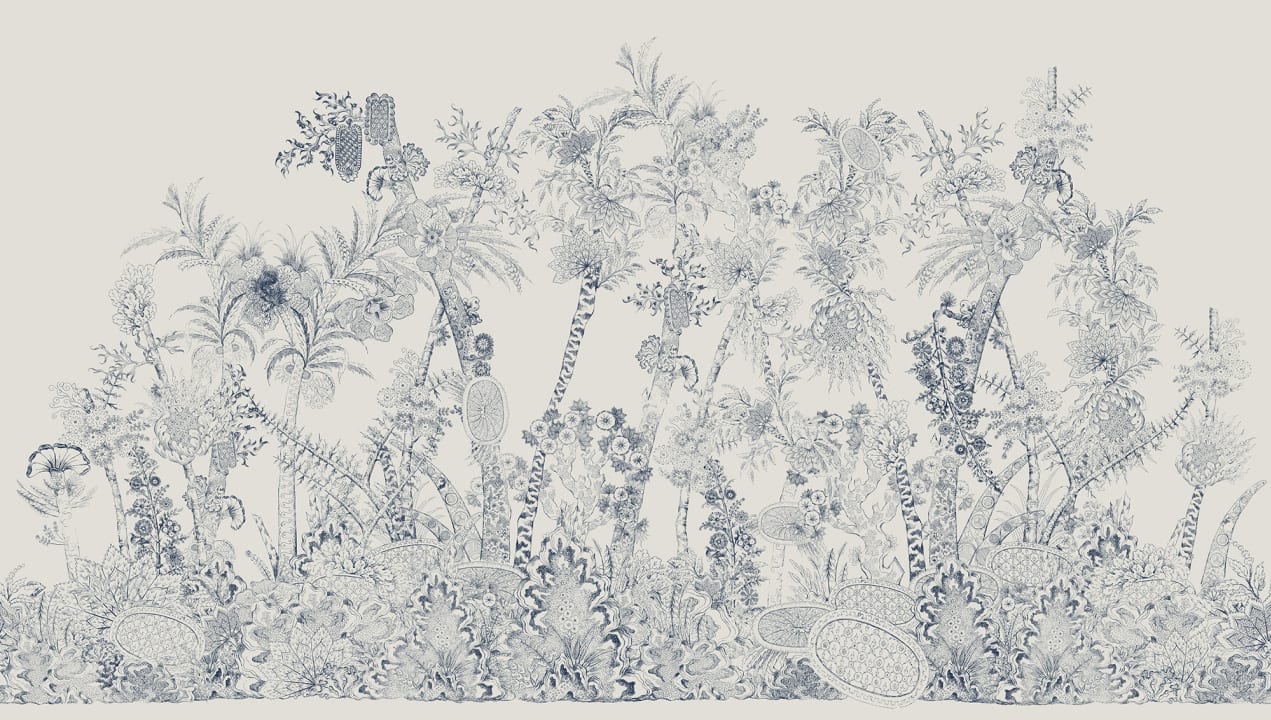 Flora