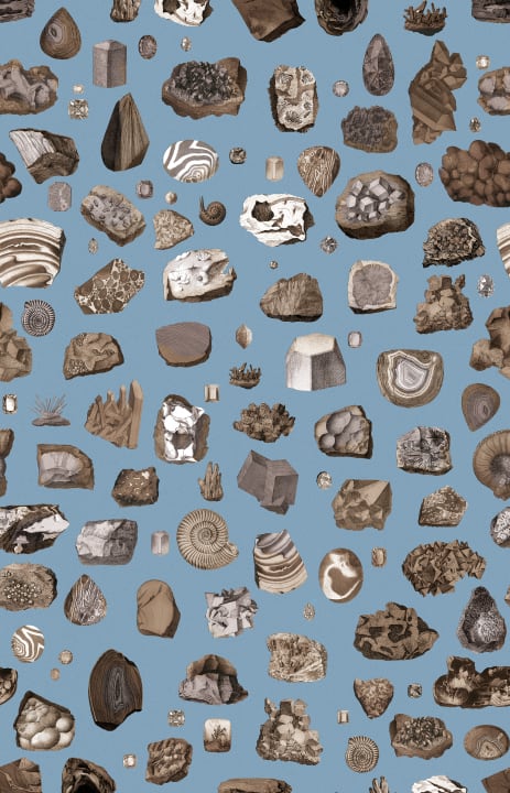 Giocologii