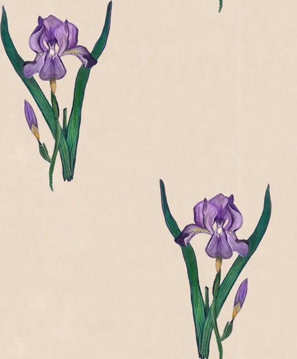 Graceful Irises
