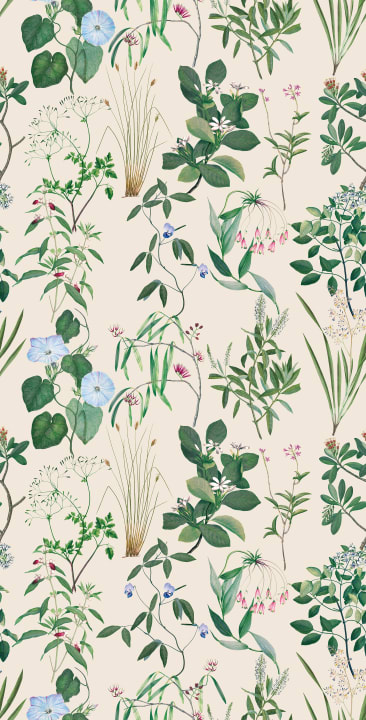 Silken Flora