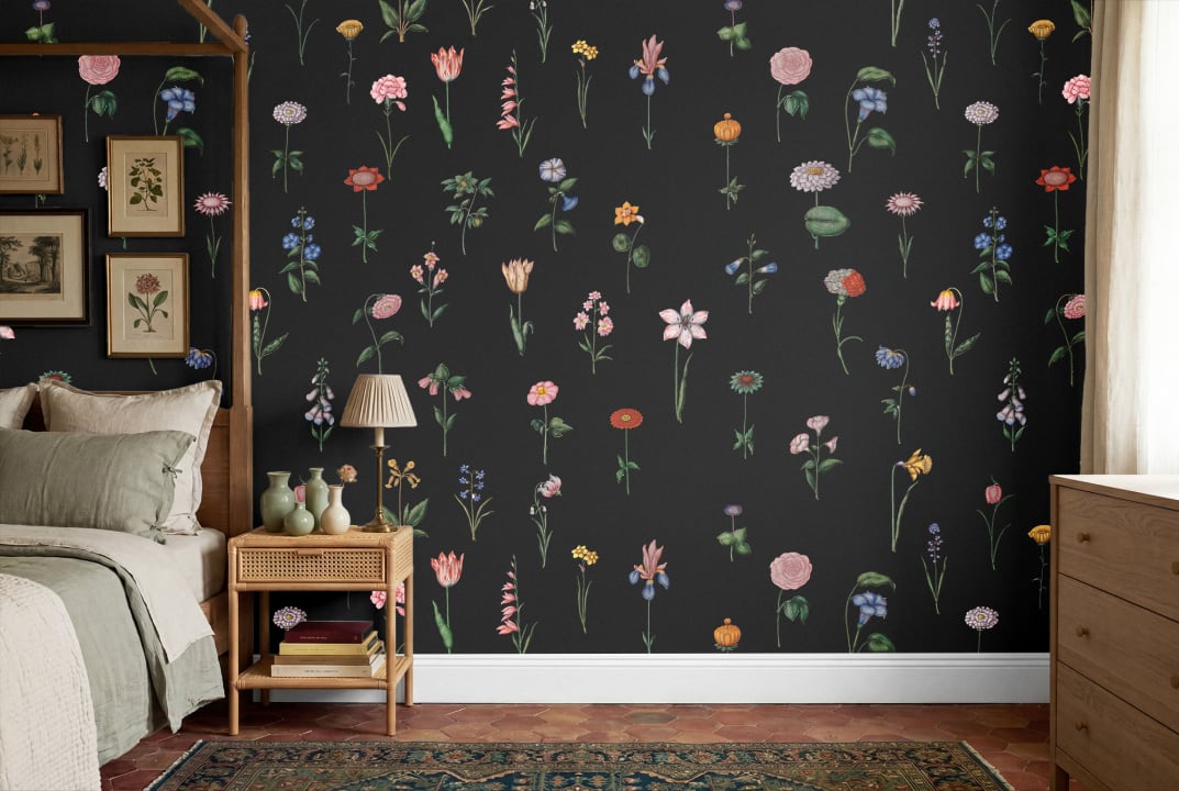 Nocturnal Garden