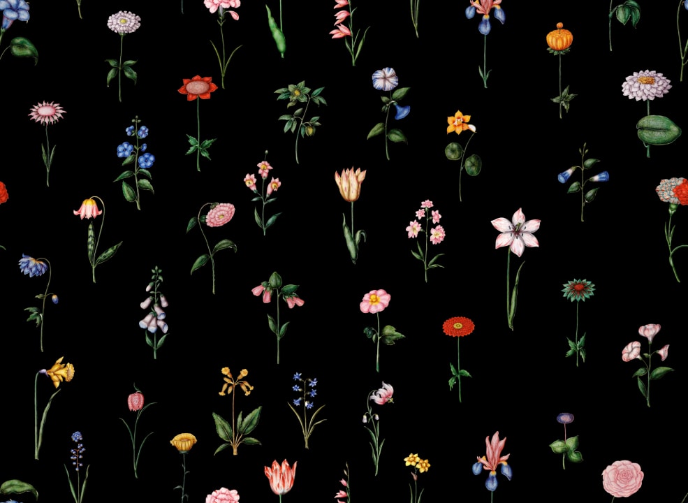 Nocturnal Garden